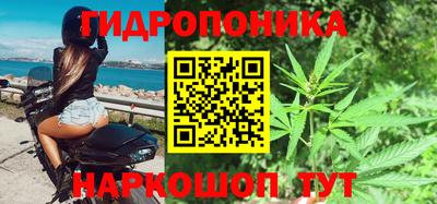 индика Нарткала