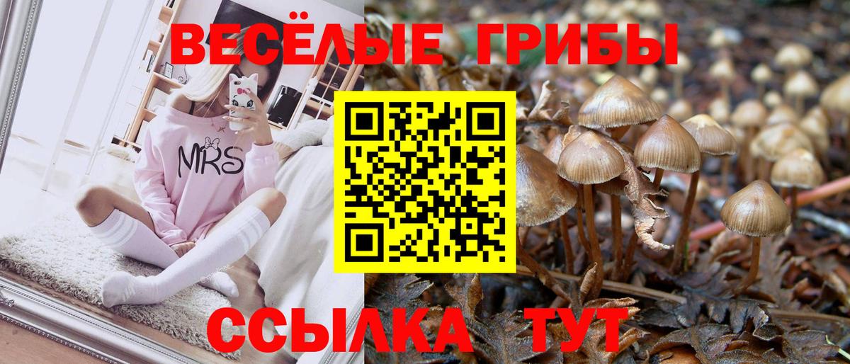 Псилоцибиновые грибы прущие грибы Чехов