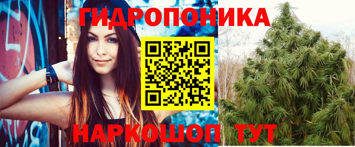 Чехов  Бошки марихуана AK-47  Вход с VPN  Марихуана индика  Шишки марихуана Amnesia 